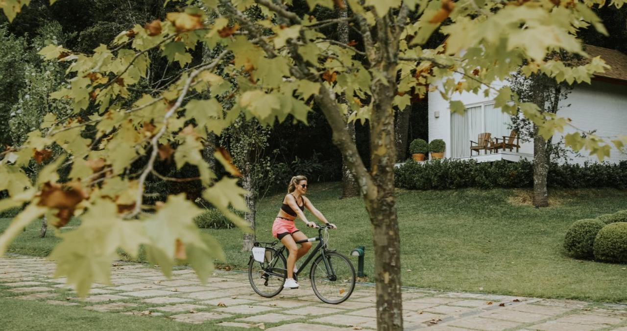 Roots Resort Monte Verde  Dış mekan fotoğraf